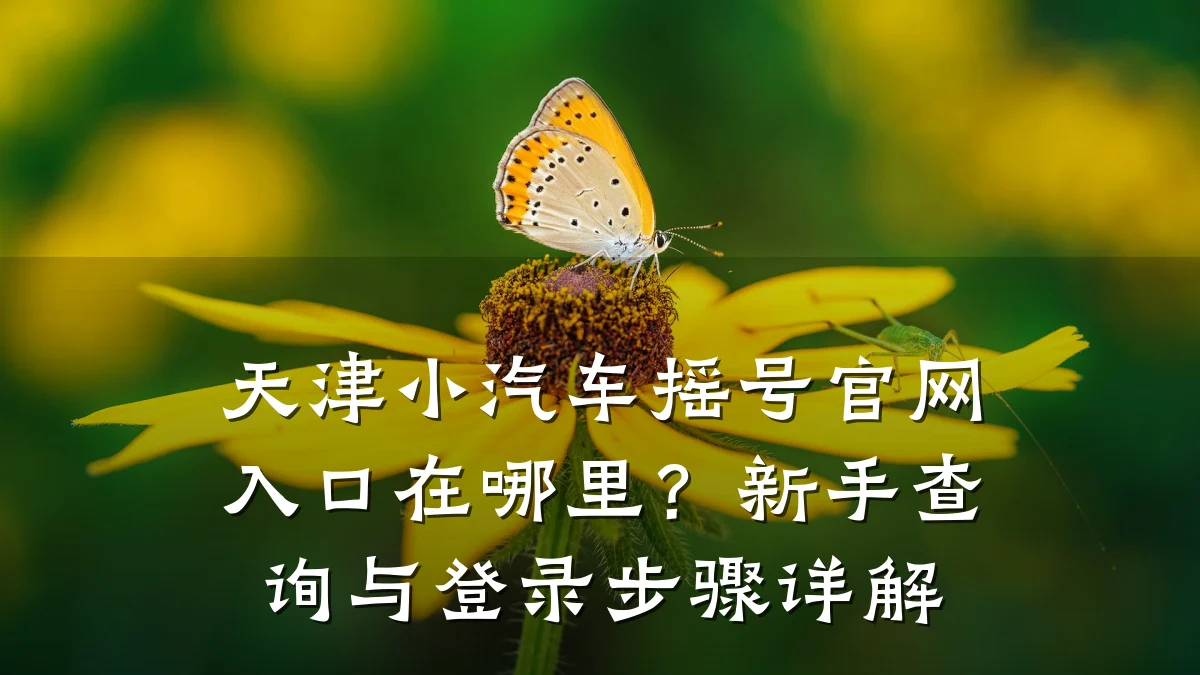 天津小汽车摇号官网入口在哪里?新手查询与登录步骤详解