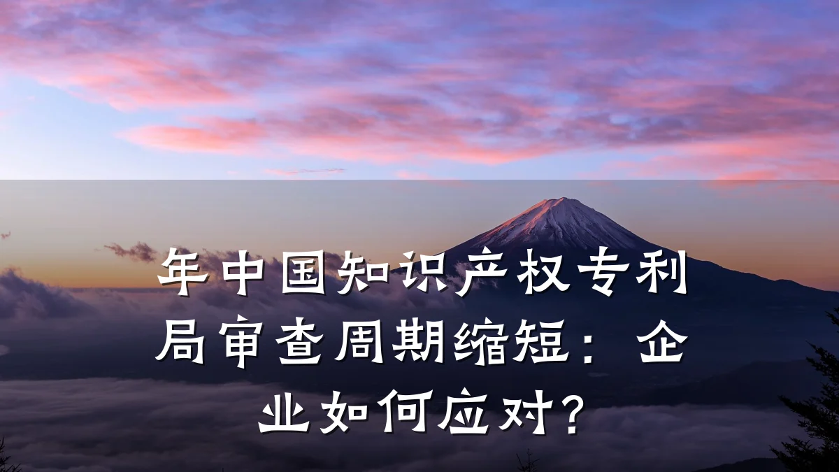 年中国知识产权专利局审查周期缩短：企业如何应对？