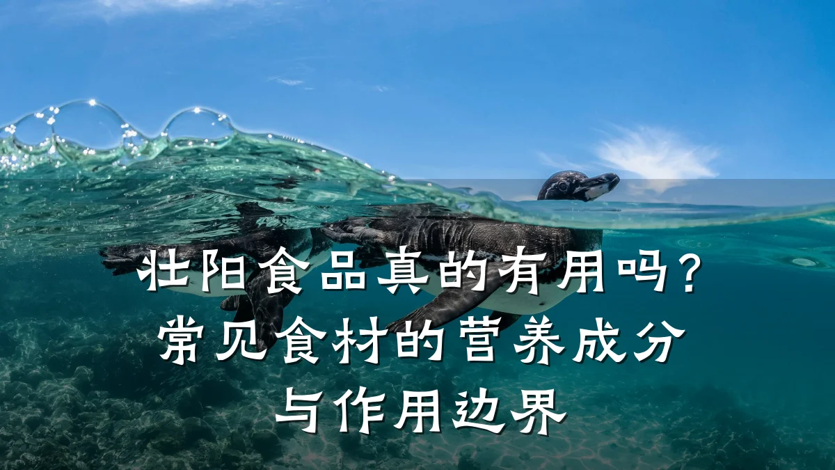 壮阳食品真的有用吗？常见食材的营养成分与作用边界