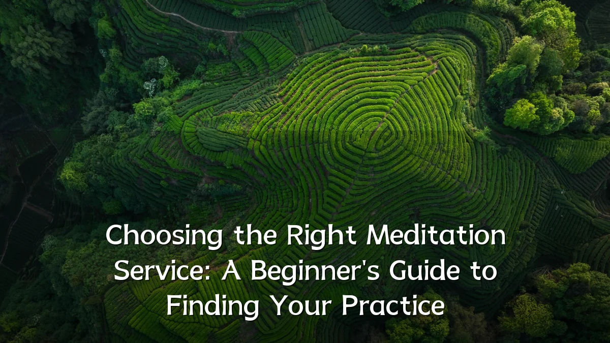 Choosing the Right Meditation Service: A Beginner's Guide to Finding Your Practice