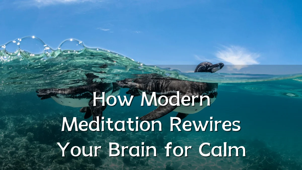 How Modern Meditation Rewires Your Brain for Calm
