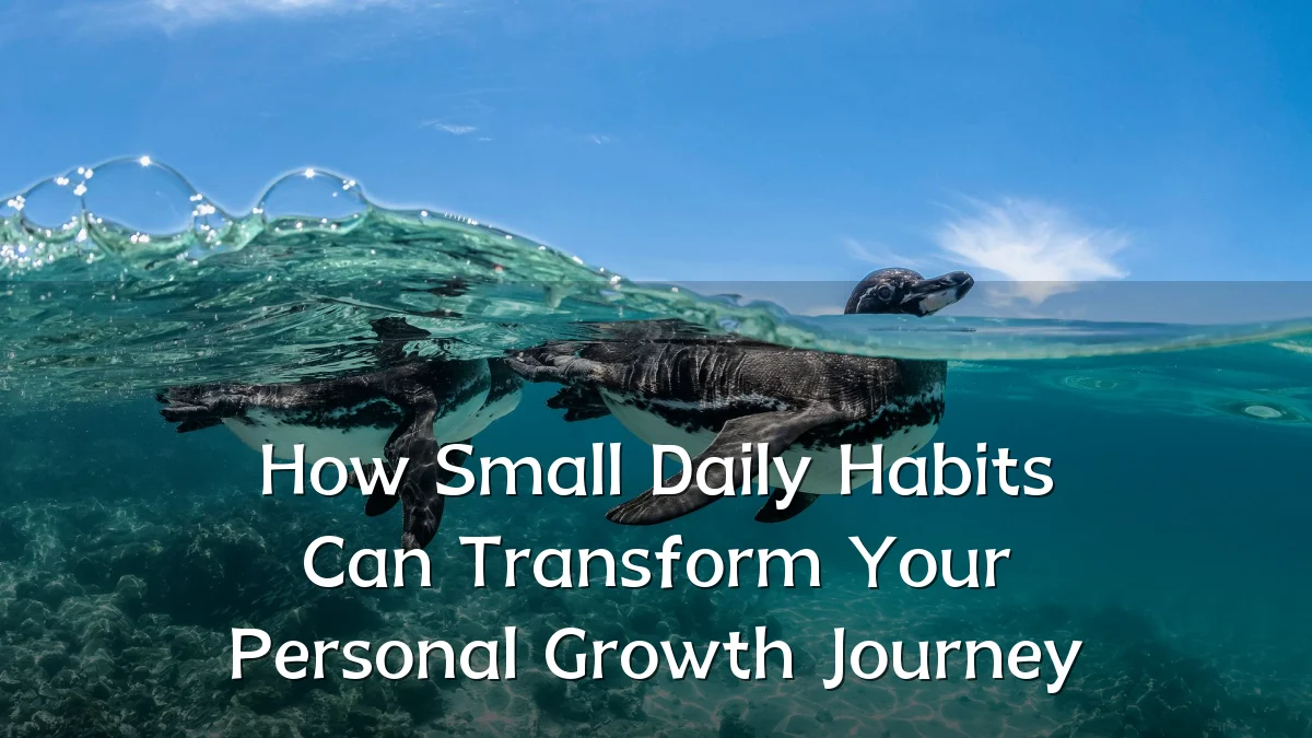 How Small Daily Habits Can Transform Your Personal Growth Journey