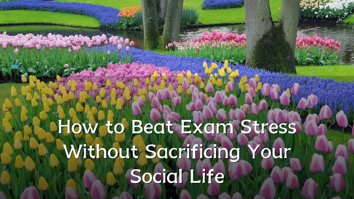 How to Beat Exam Stress Without Sacrificing Your Social Life