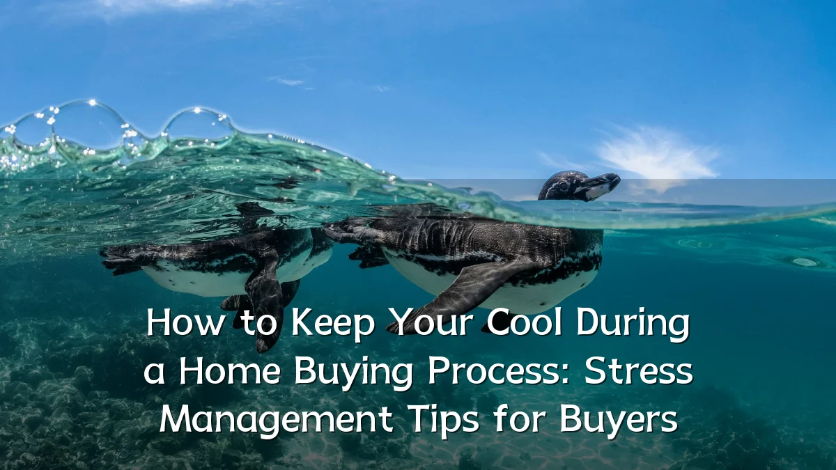 How to Keep Your Cool During a Home Buying Process: Stress Management Tips for Buyers