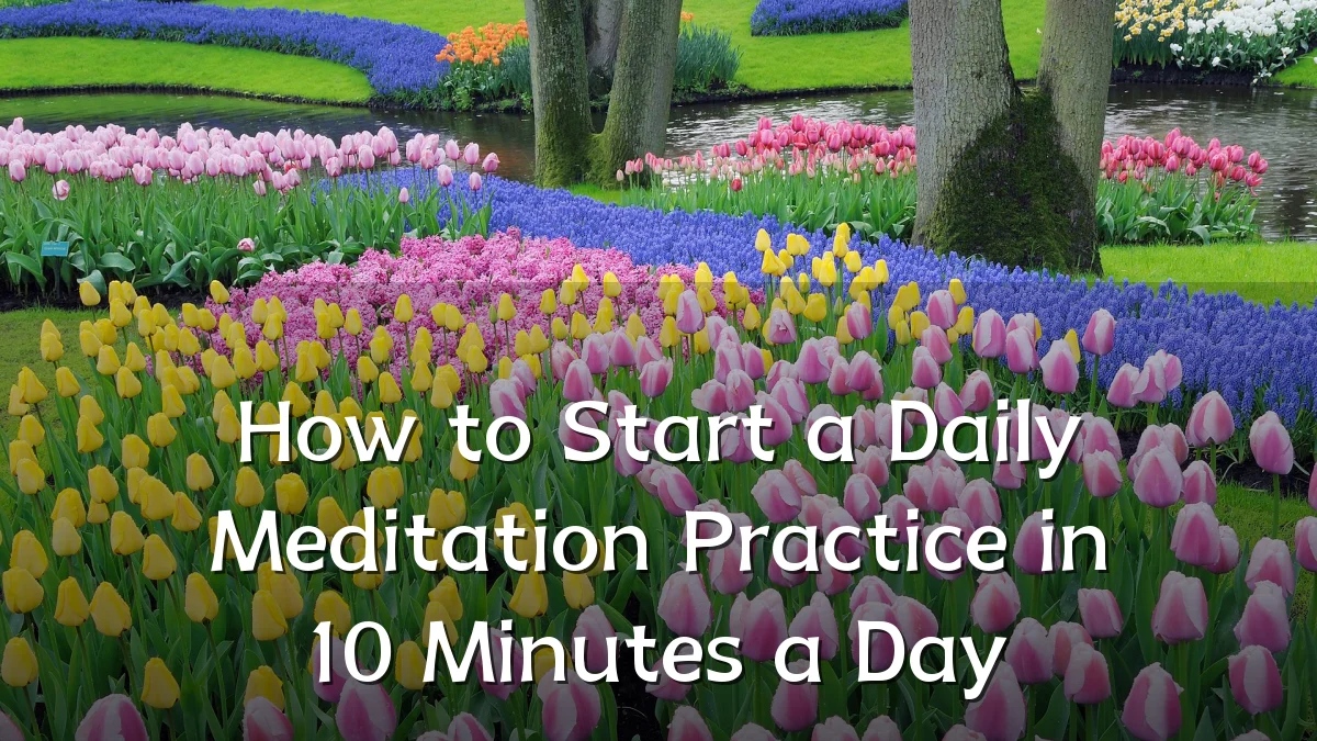 How to Start a Daily Meditation Practice in 10 Minutes a Day