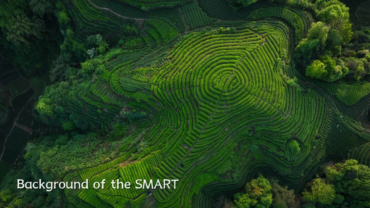 Background of the SMART