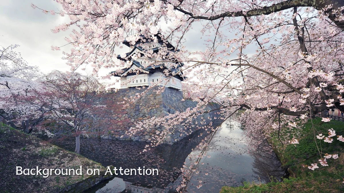 Background on Attention