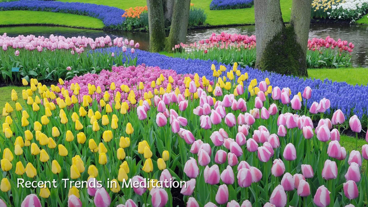 Recent Trends in Meditation