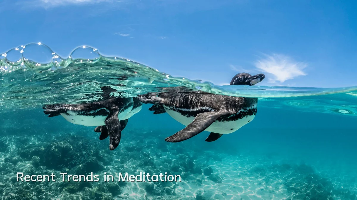 Recent Trends in Meditation