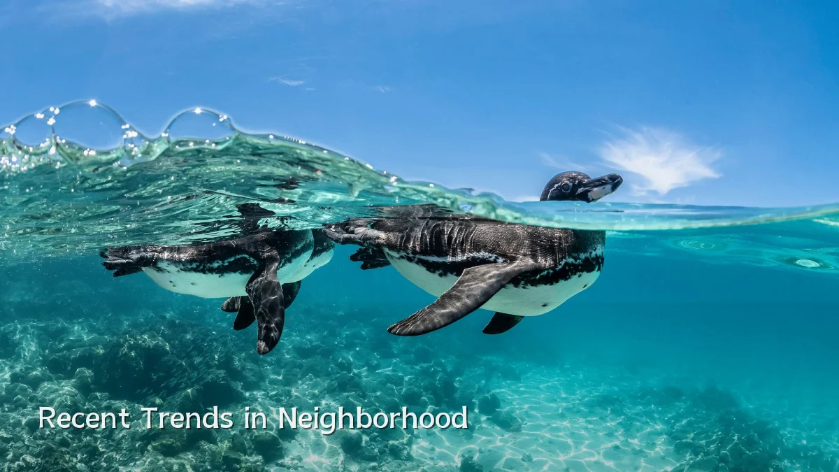 Recent Trends in Neighborhood