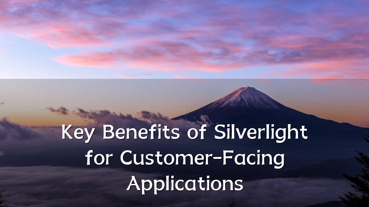 Key Benefits of Silverlight for Customer-Facing Applications