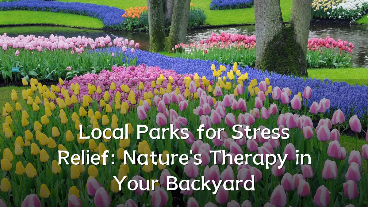 Local Parks for Stress Relief: Nature's Therapy in Your Backyard