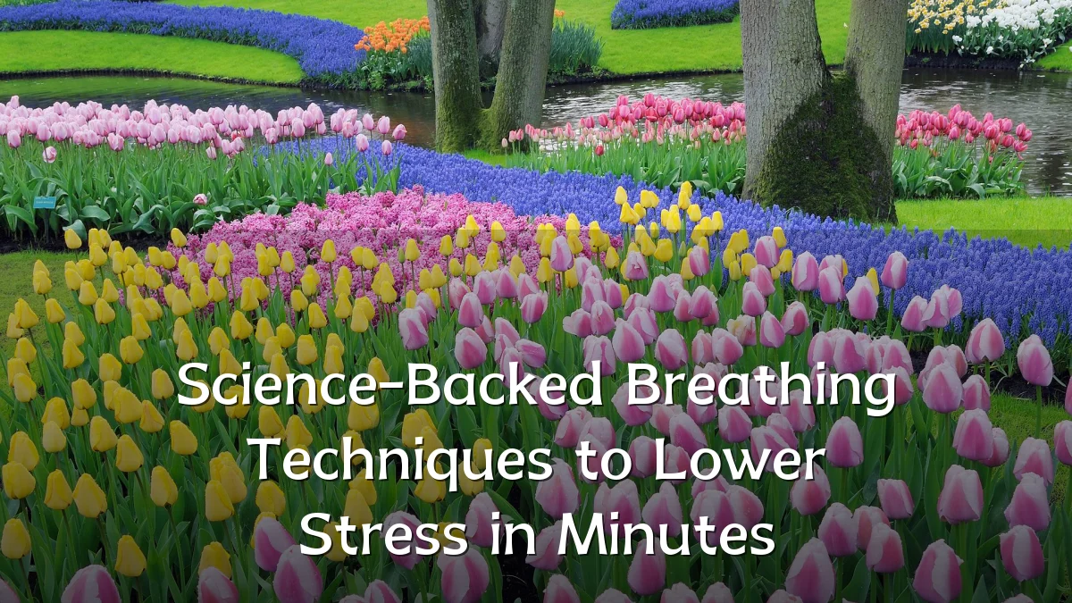 Science-Backed Breathing Techniques to Lower Stress in Minutes