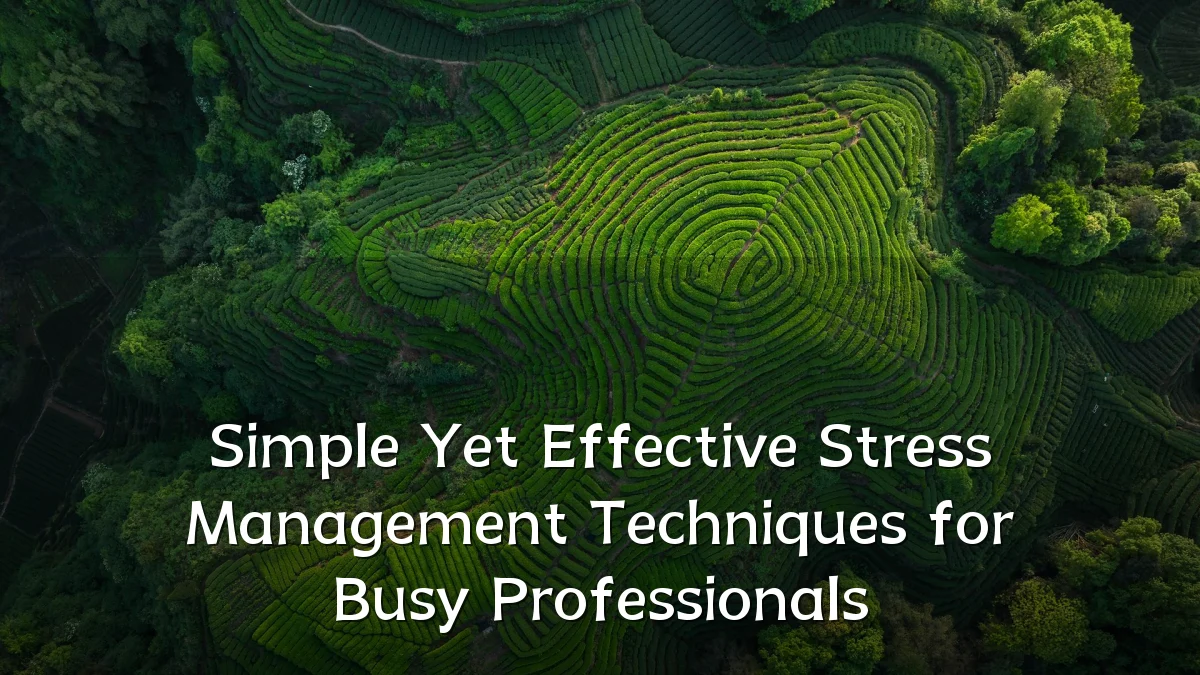Simple Yet Effective Stress Management Techniques for Busy Professionals