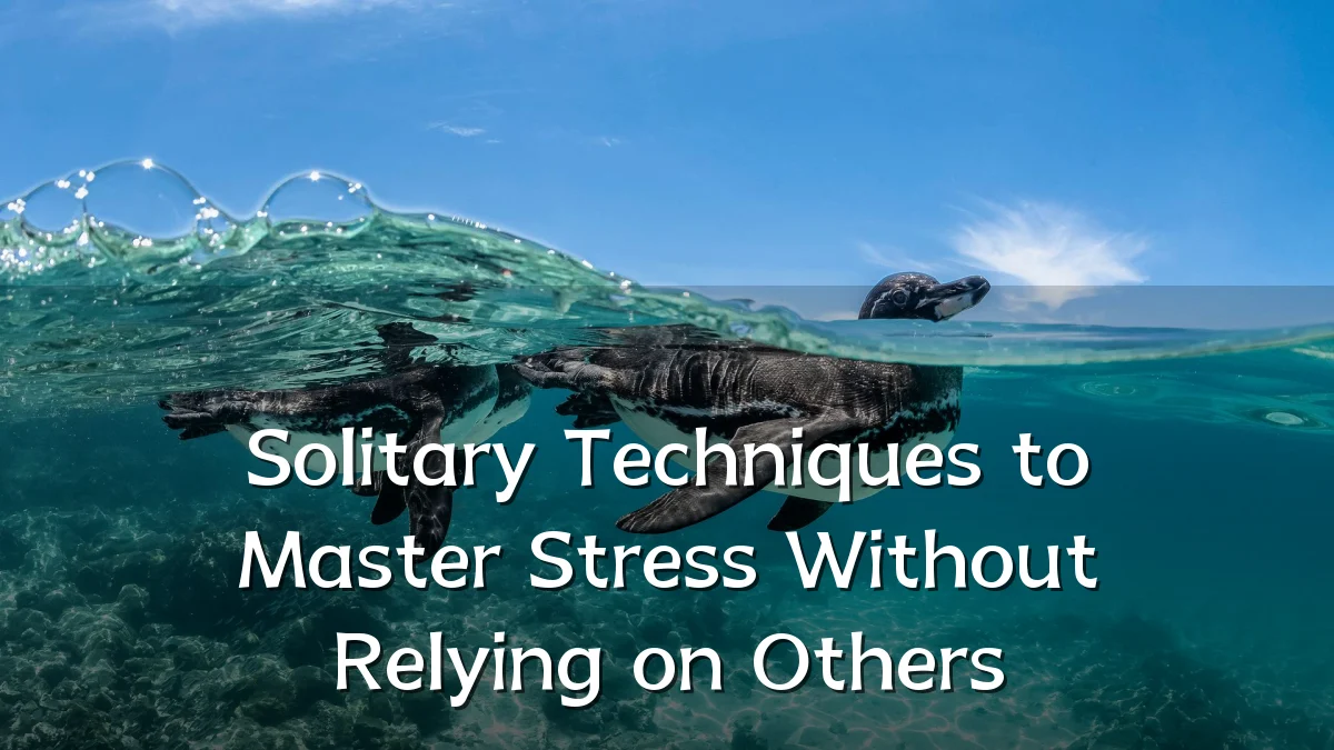 Solitary Techniques to Master Stress Without Relying on Others