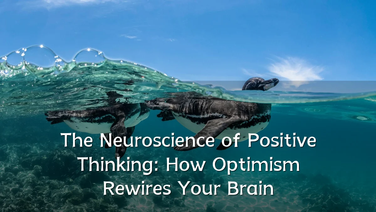 The Neuroscience of Positive Thinking: How Optimism Rewires Your Brain