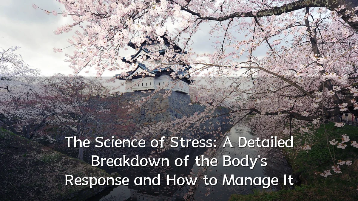 The Science of Stress: A Detailed Breakdown of the Body's Response and How to Manage It