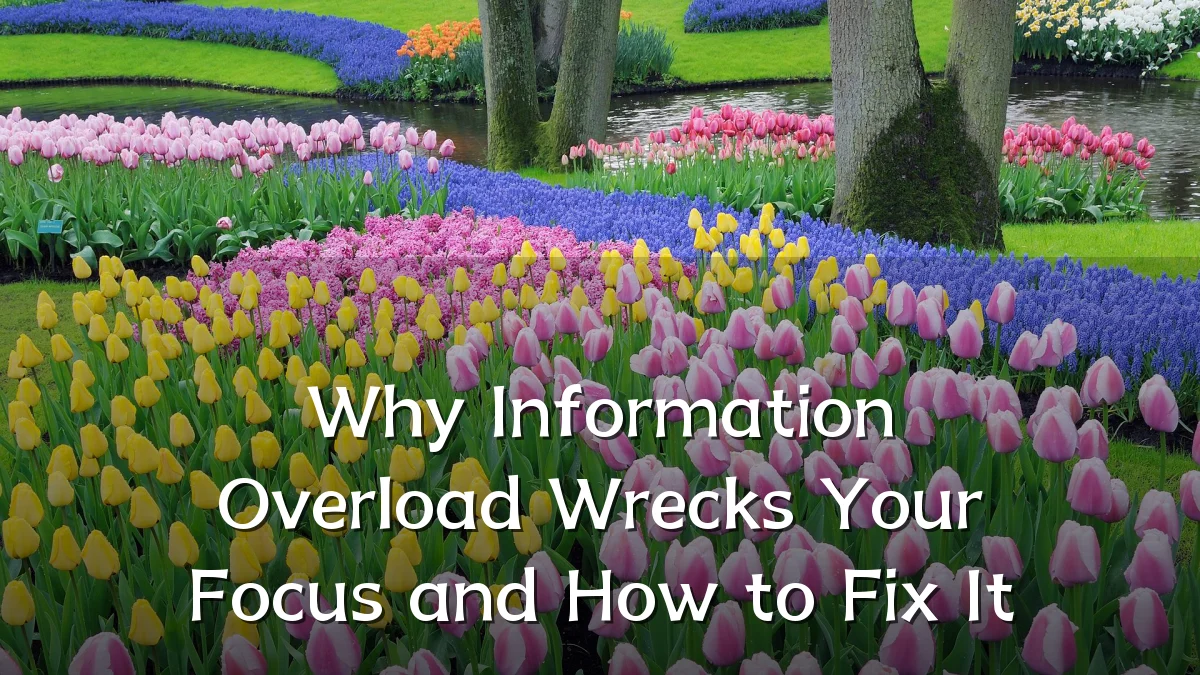 Why Information Overload Wrecks Your Focus and How to Fix It