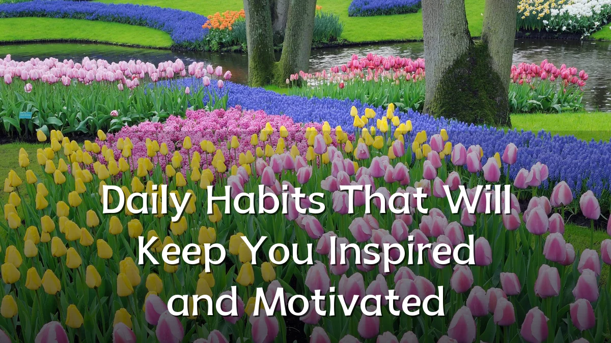 Daily Habits That Will Keep You Inspired and Motivated