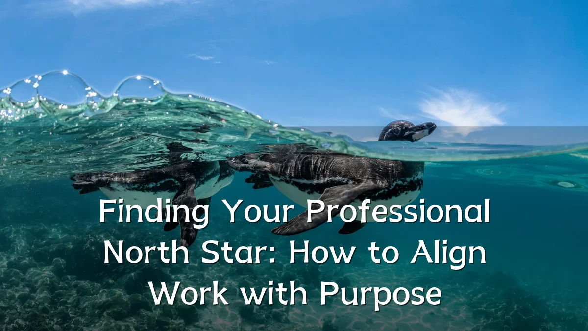 Finding Your Professional North Star: How to Align Work with Purpose