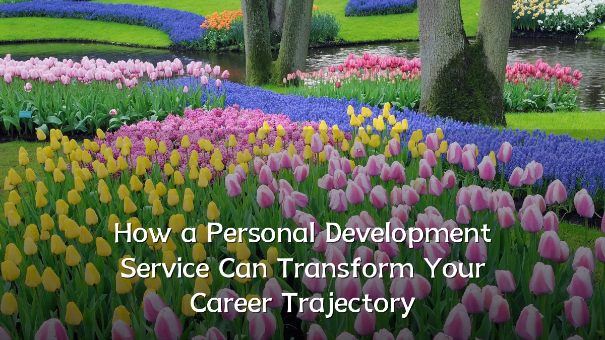 How a Personal Development Service Can Transform Your Career Trajectory