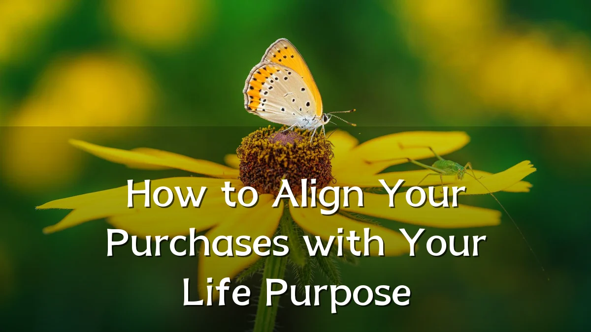 How to Align Your Purchases with Your Life Purpose