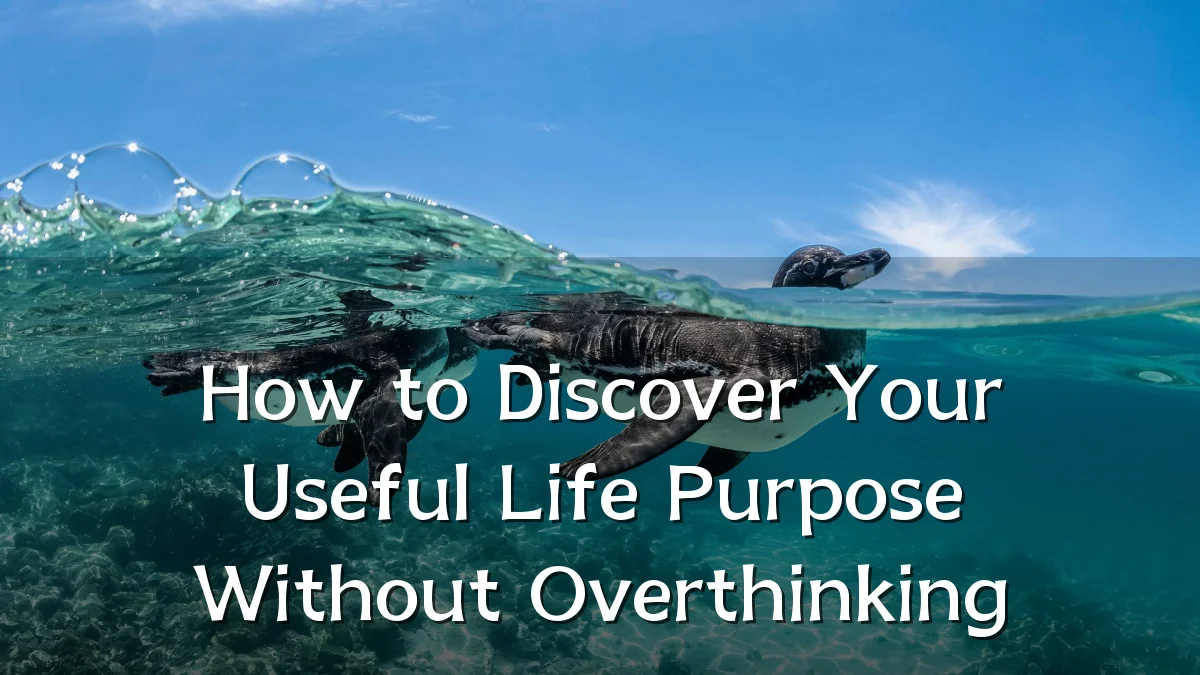 How to Discover Your Useful Life Purpose Without Overthinking