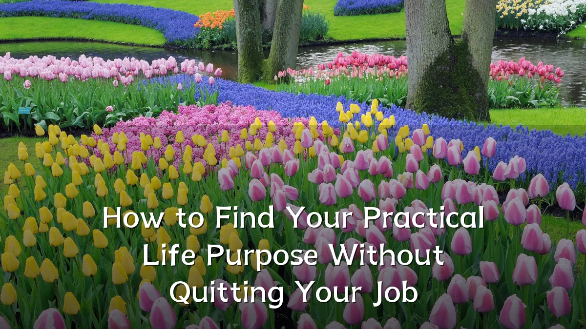 How to Find Your Practical Life Purpose Without Quitting Your Job