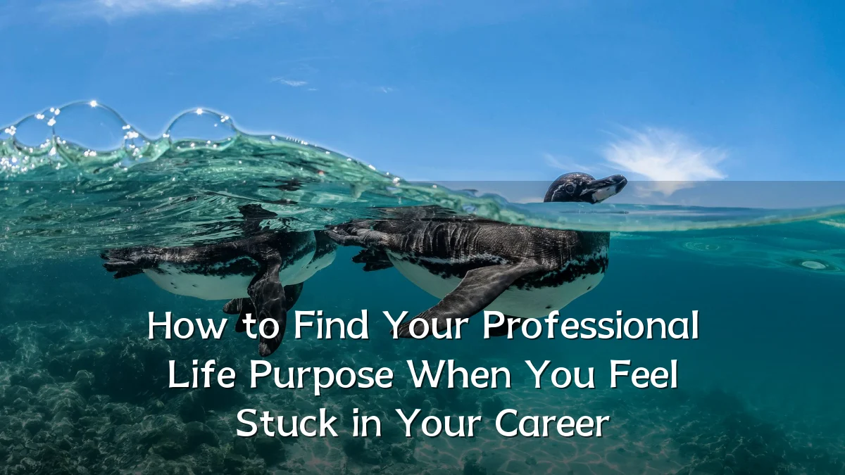 How to Find Your Professional Life Purpose When You Feel Stuck in Your Career