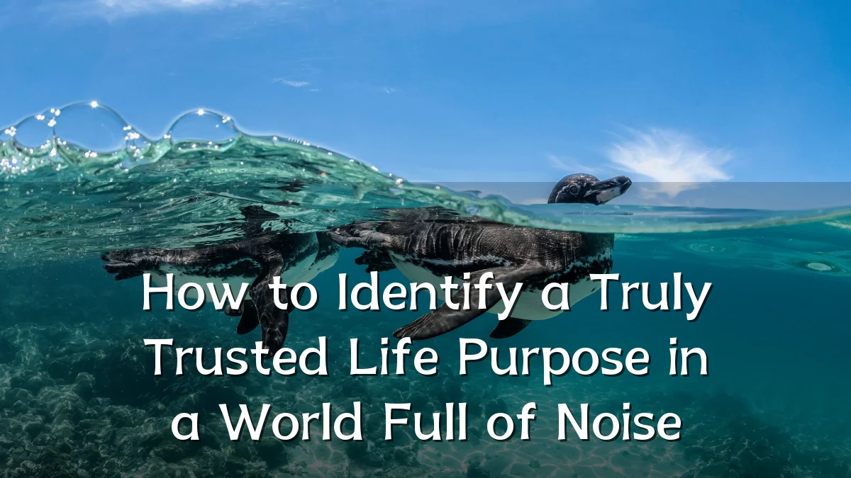How to Identify a Truly Trusted Life Purpose in a World Full of Noise