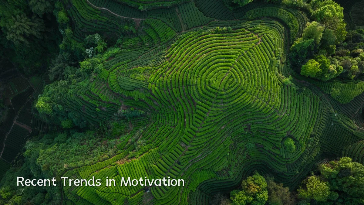 Recent Trends in Motivation