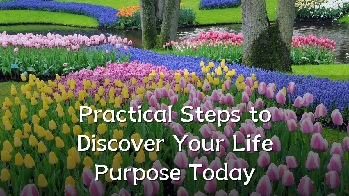 Practical Steps to Discover Your Life Purpose Today