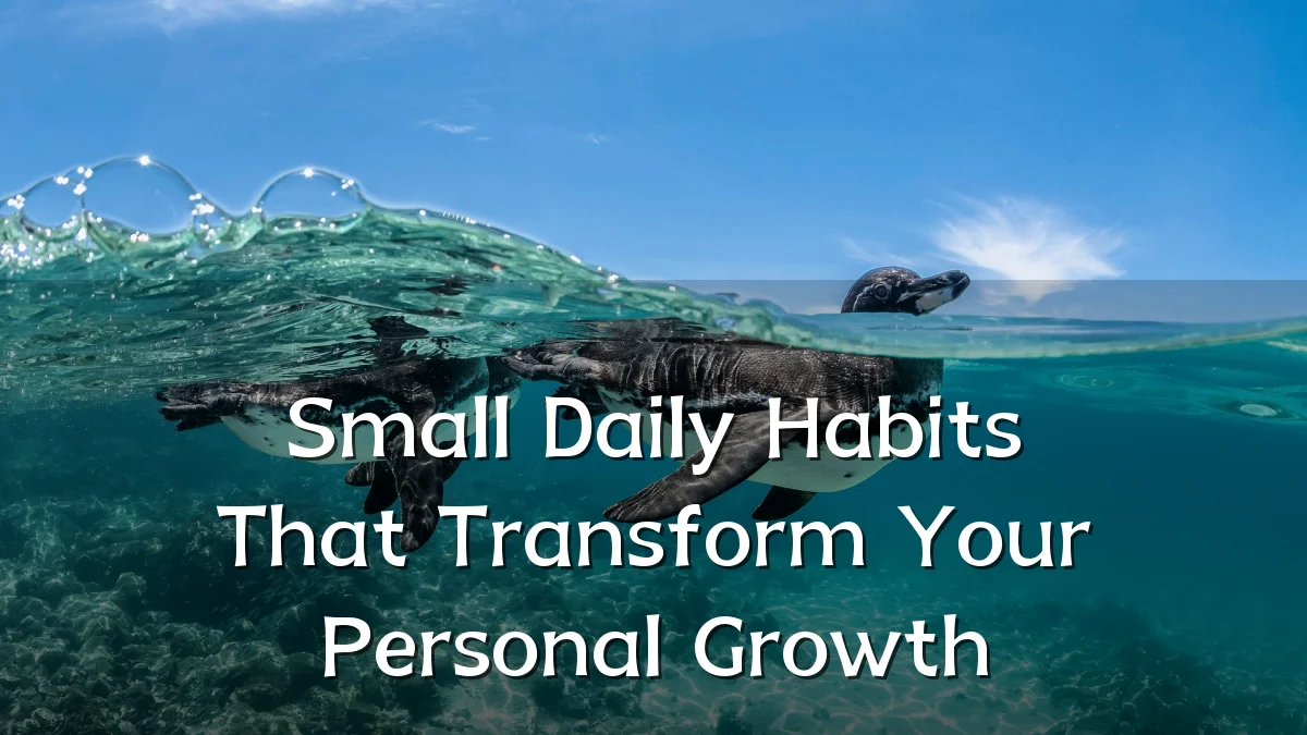 Small Daily Habits That Transform Your Personal Growth