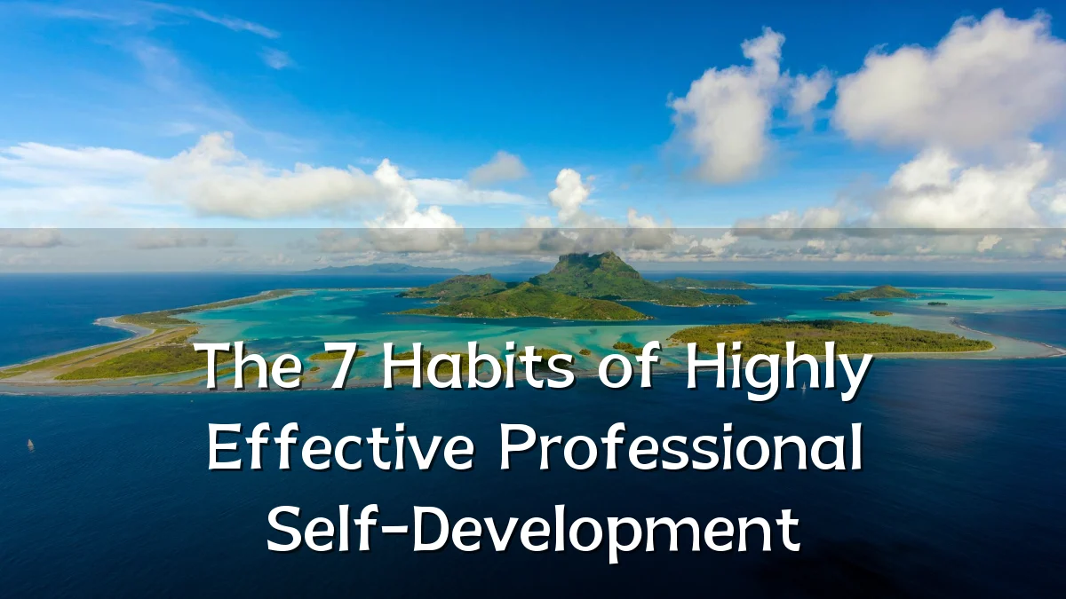 The 7 Habits of Highly Effective Professional Self-Development