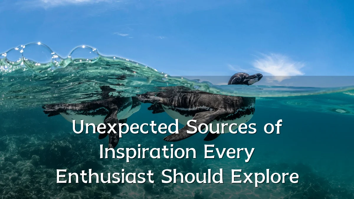 Unexpected Sources of Inspiration Every Enthusiast Should Explore