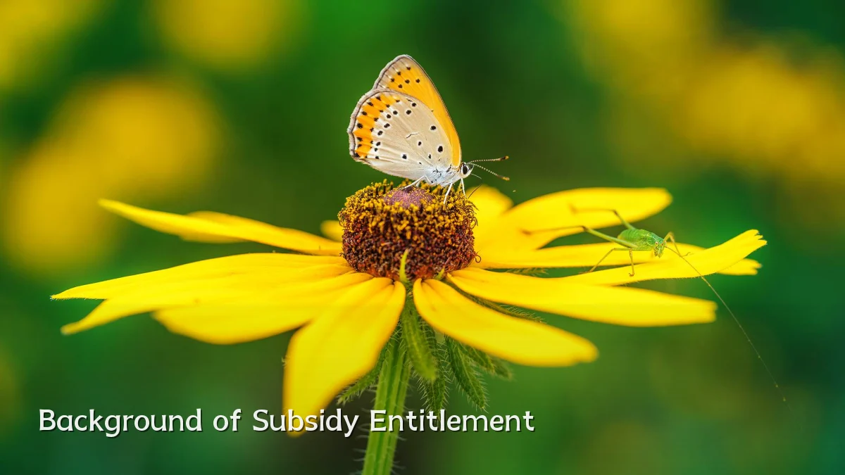 Background of Subsidy Entitlement