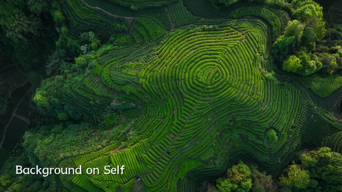 Background on Self