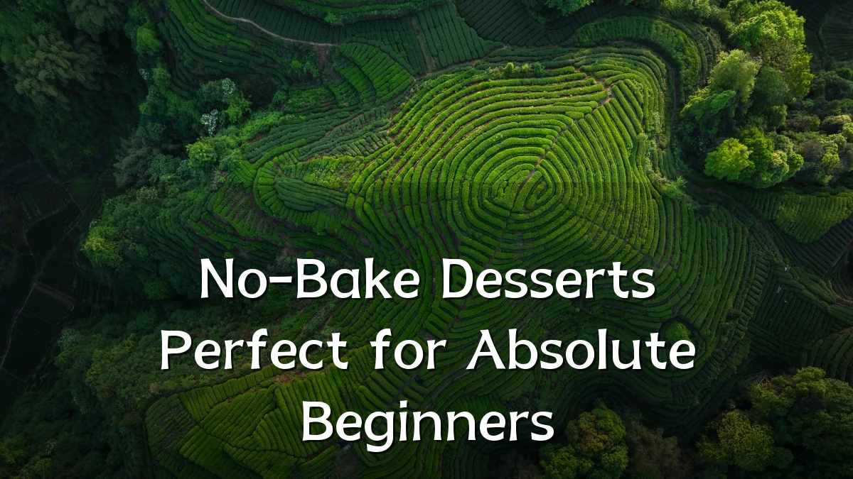 No-Bake Desserts Perfect for Absolute Beginners
