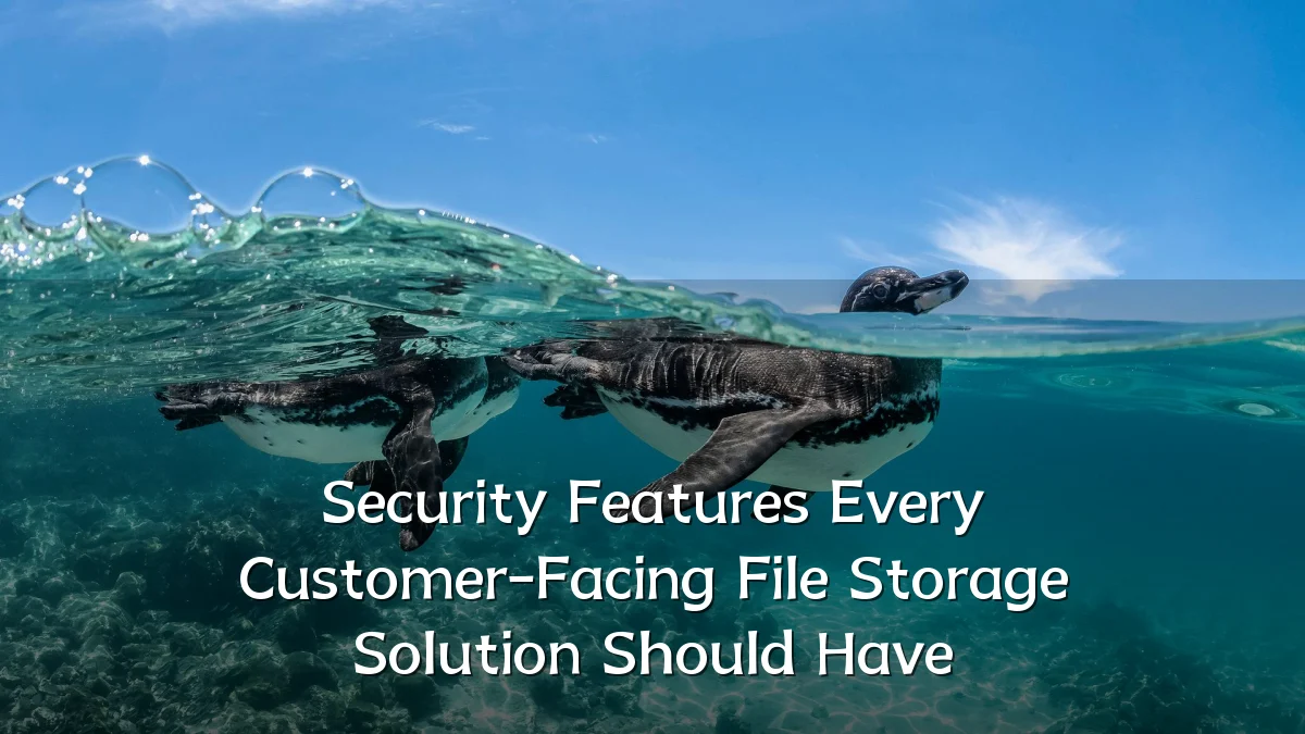 Security Features Every Customer-Facing File Storage Solution Should Have