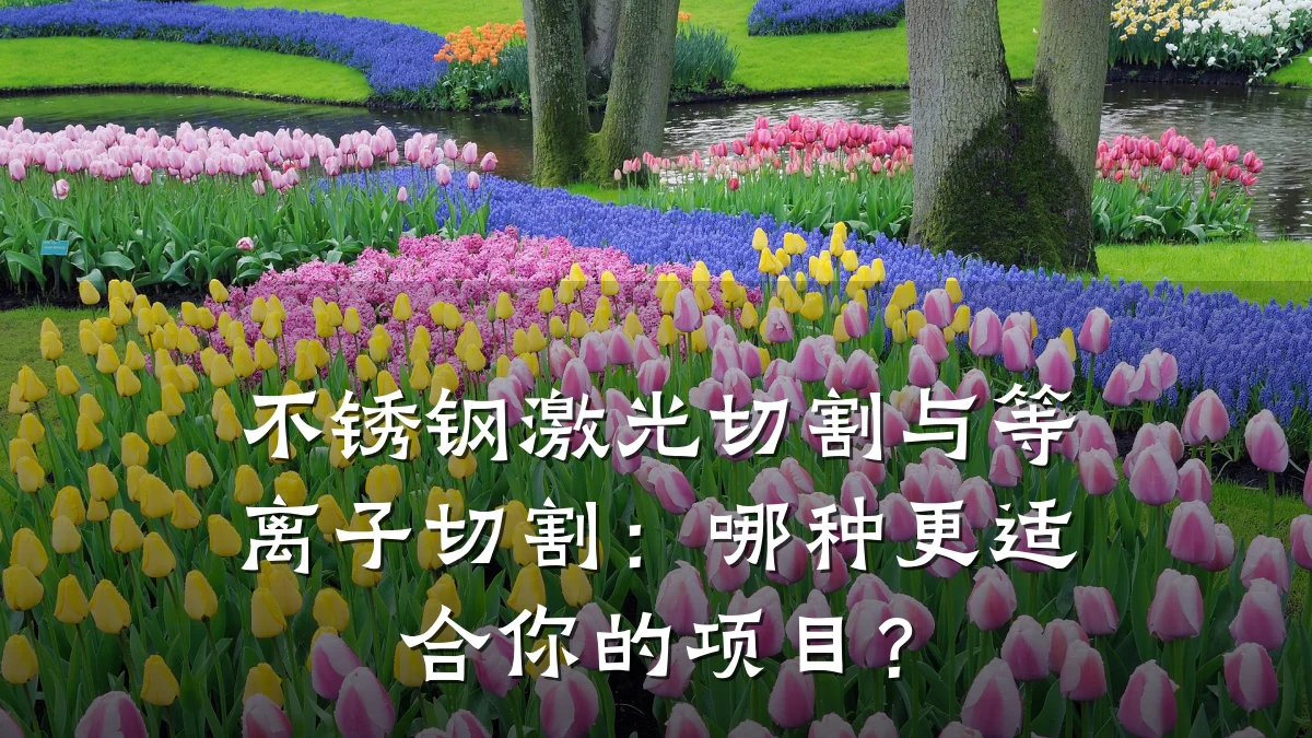 不锈钢激光切割与等离子切割：哪种更适合你的项目？