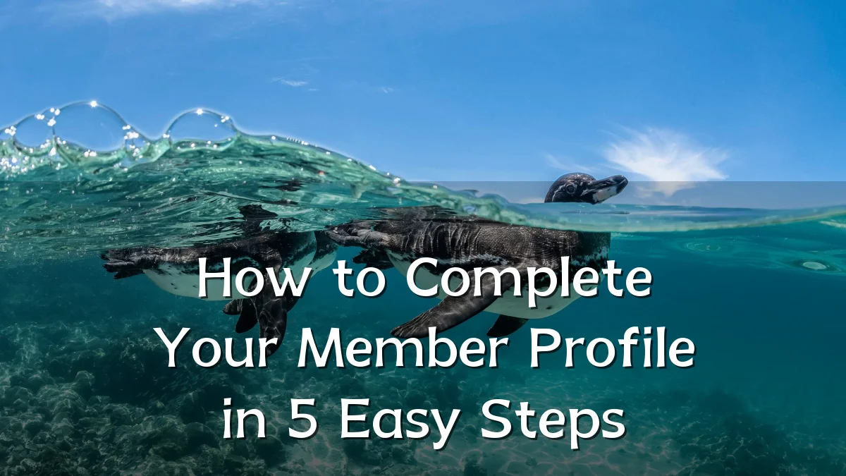 How to Complete Your Member Profile in 5 Easy Steps