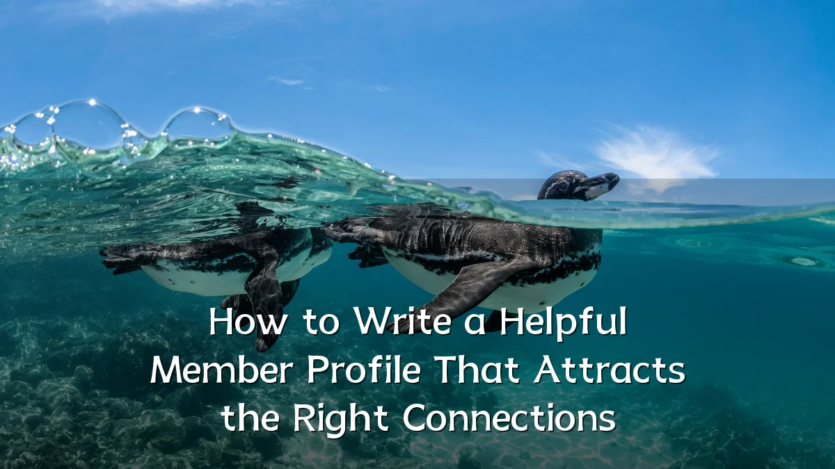 How to Write a Helpful Member Profile That Attracts the Right Connections