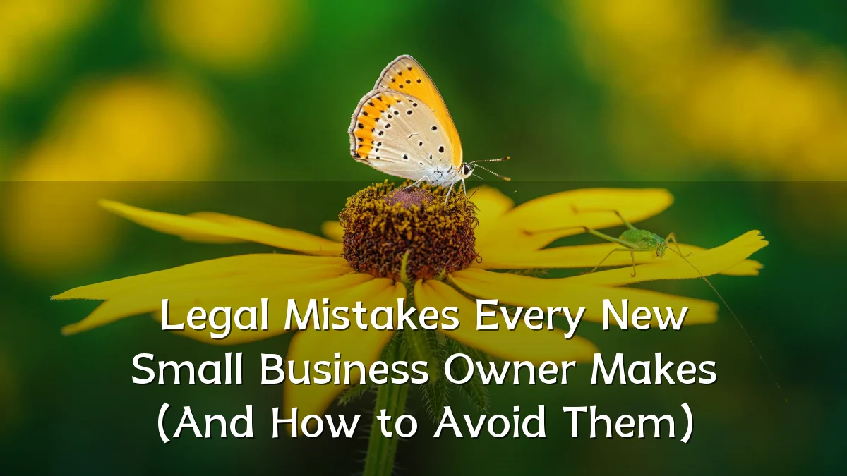Legal Mistakes Every New Small Business Owner Makes (And How to Avoid Them)