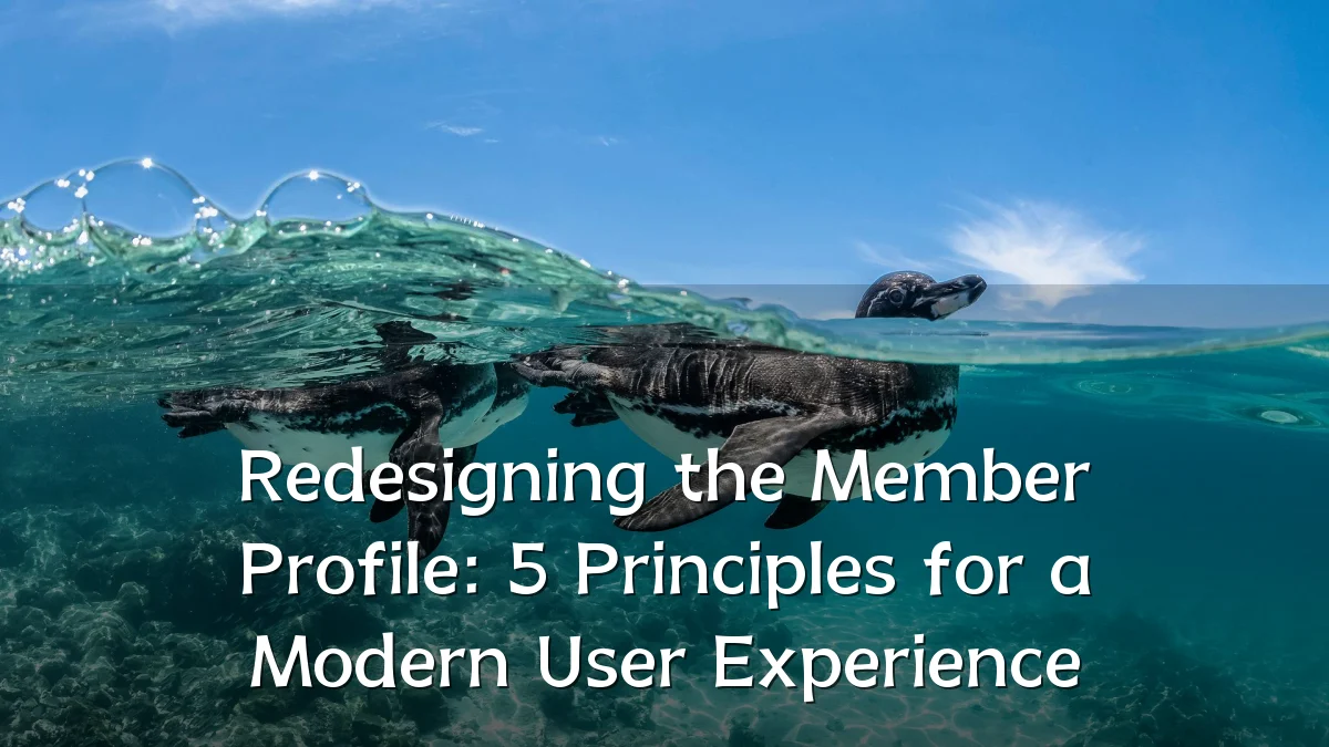 Redesigning the Member Profile: 5 Principles for a Modern User Experience