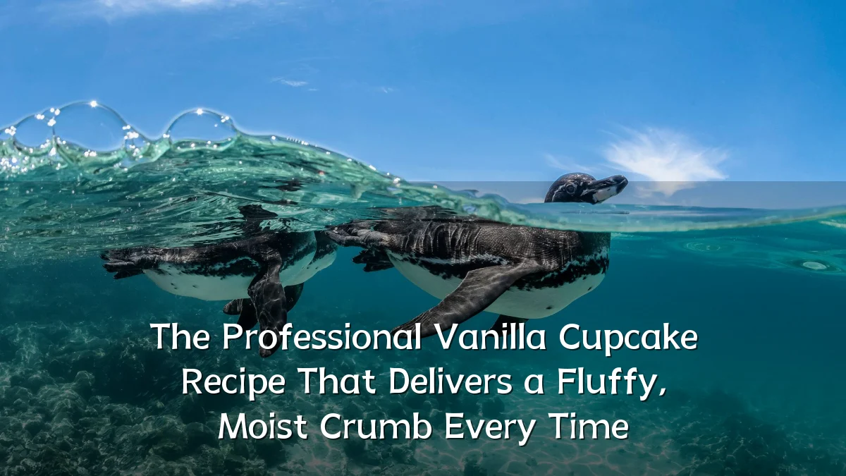The Professional Vanilla Cupcake Recipe That Delivers a Fluffy, Moist Crumb Every Time