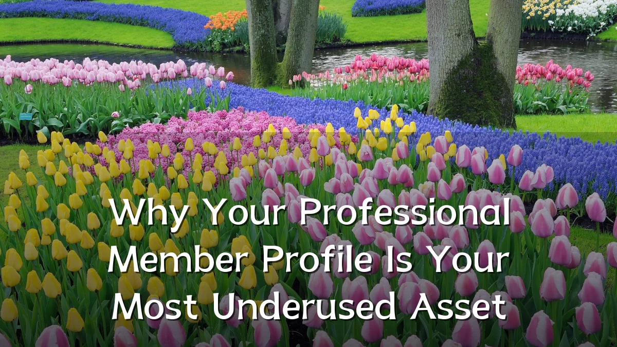 Why Your Professional Member Profile Is Your Most Underused Asset