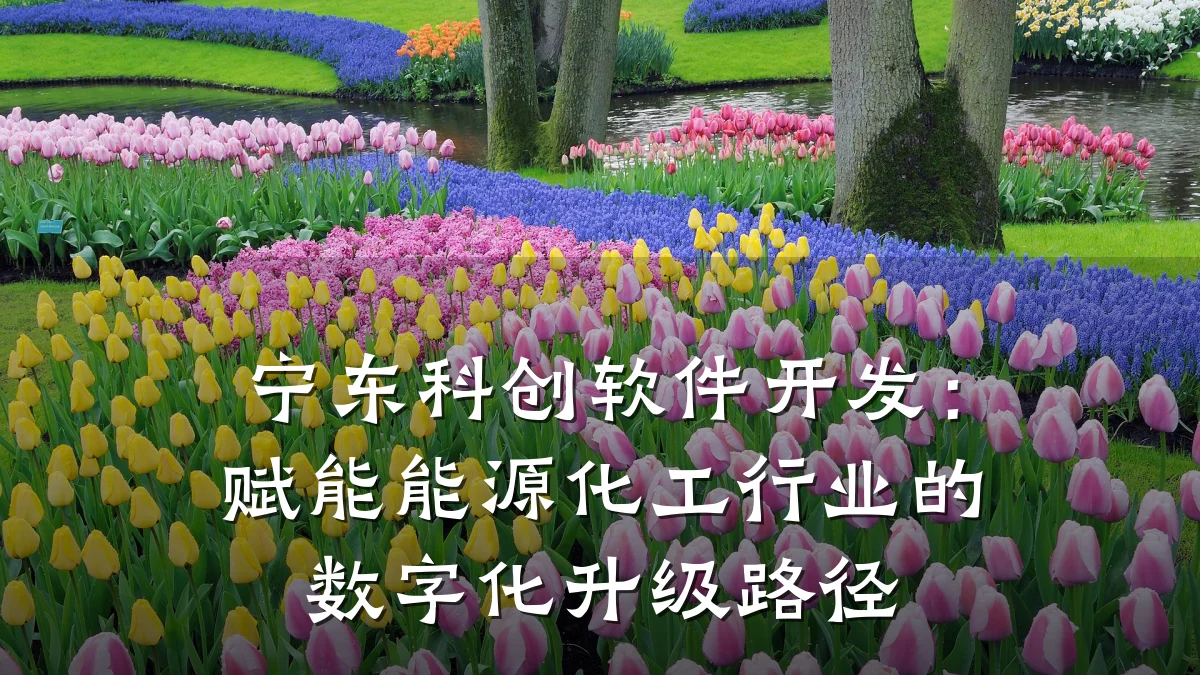 宁东科创软件开发:赋能能源化工行业的数字化升级路径