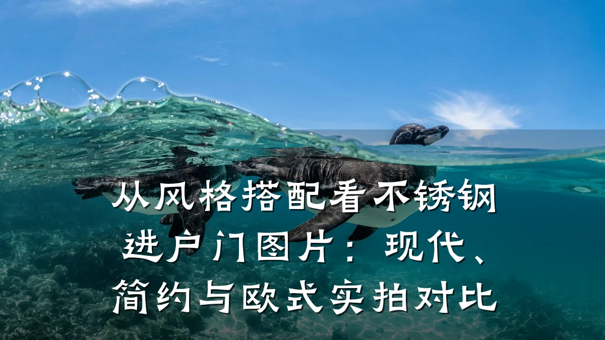 从风格搭配看不锈钢进户门图片：现代、简约与欧式实拍对比